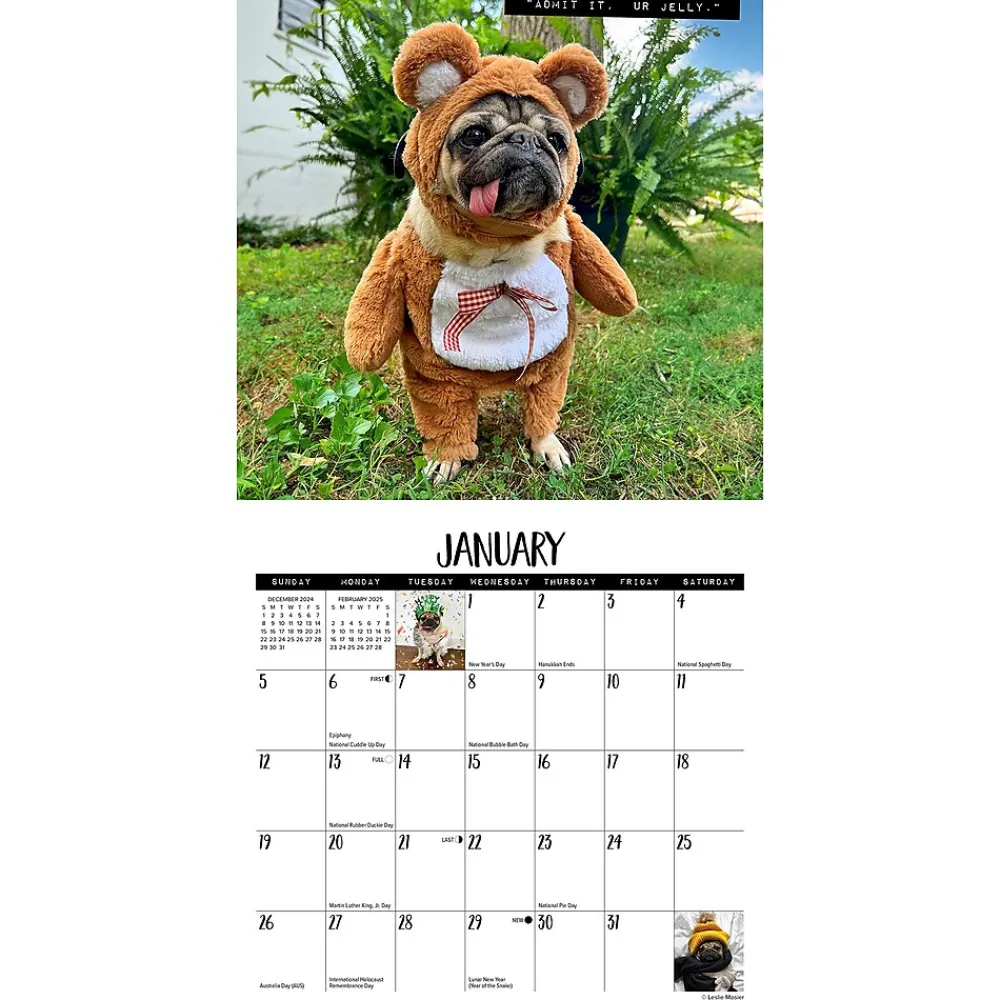 2025 Calendars|Willow Creek 2025 Doug the Pug 7" x 7" Monthly Wall Calendar (45763)