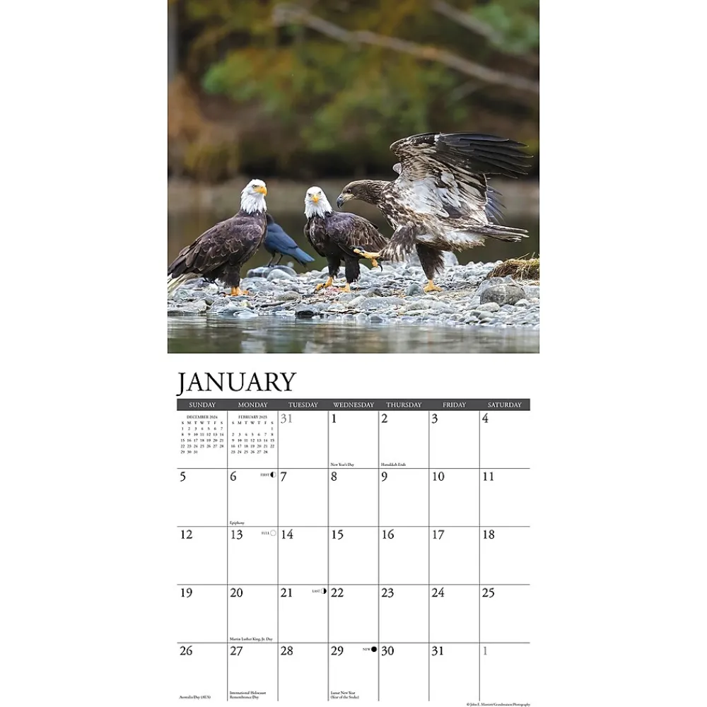 2025 Calendars|Willow Creek 2025 Eagles 12" x 12" Monthly Wall Calendar (42786)