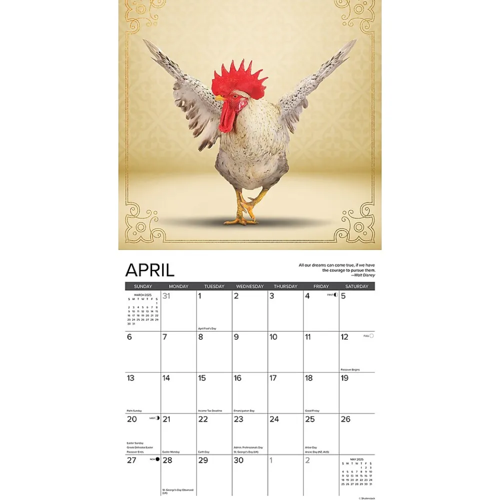 2025 Calendars|Willow Creek 2025 Farm Yoga 12" x 12" Monthly Wall Calendar (42878)