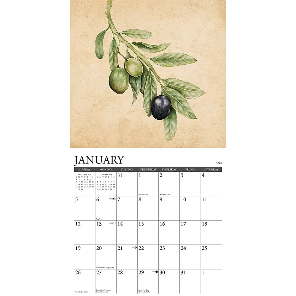 2025 Calendars|Willow Creek 2025 Farmers Market 12" x 12" Monthly Wall Calendar (46388)