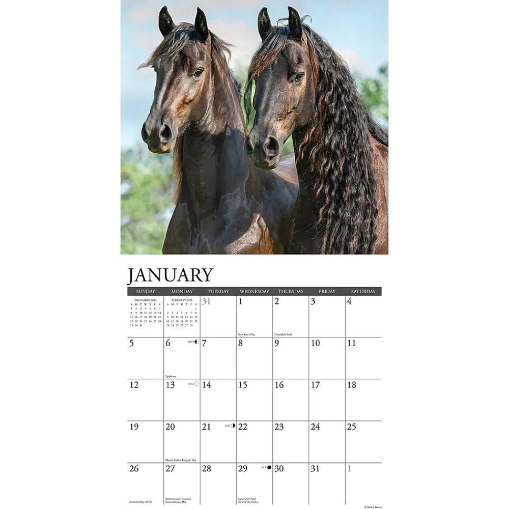2025 Calendars|Willow Creek 2025 Friesians 12" x 12" Monthly Wall Calendar (42960)