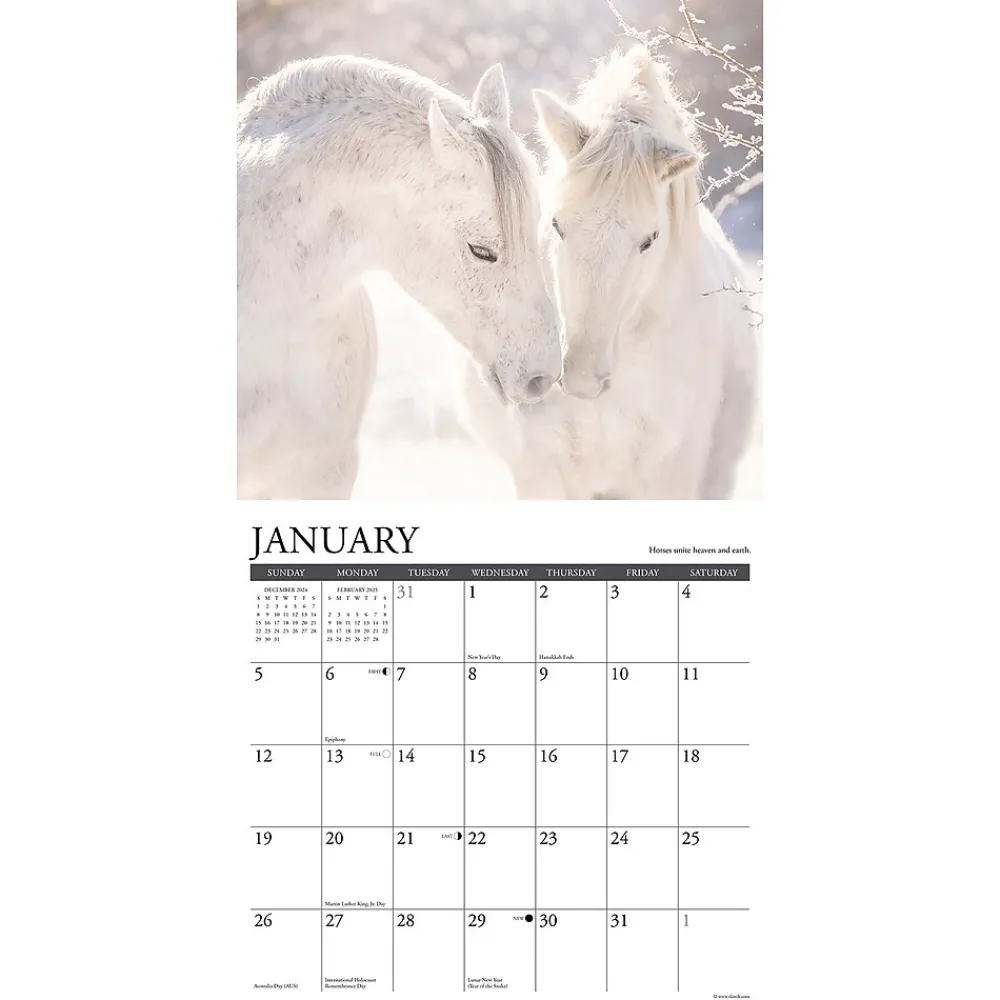 2025 Calendars|Willow Creek 2025 Happiness is a Horse 12" x 12" Monthly Wall Calendar (43271)