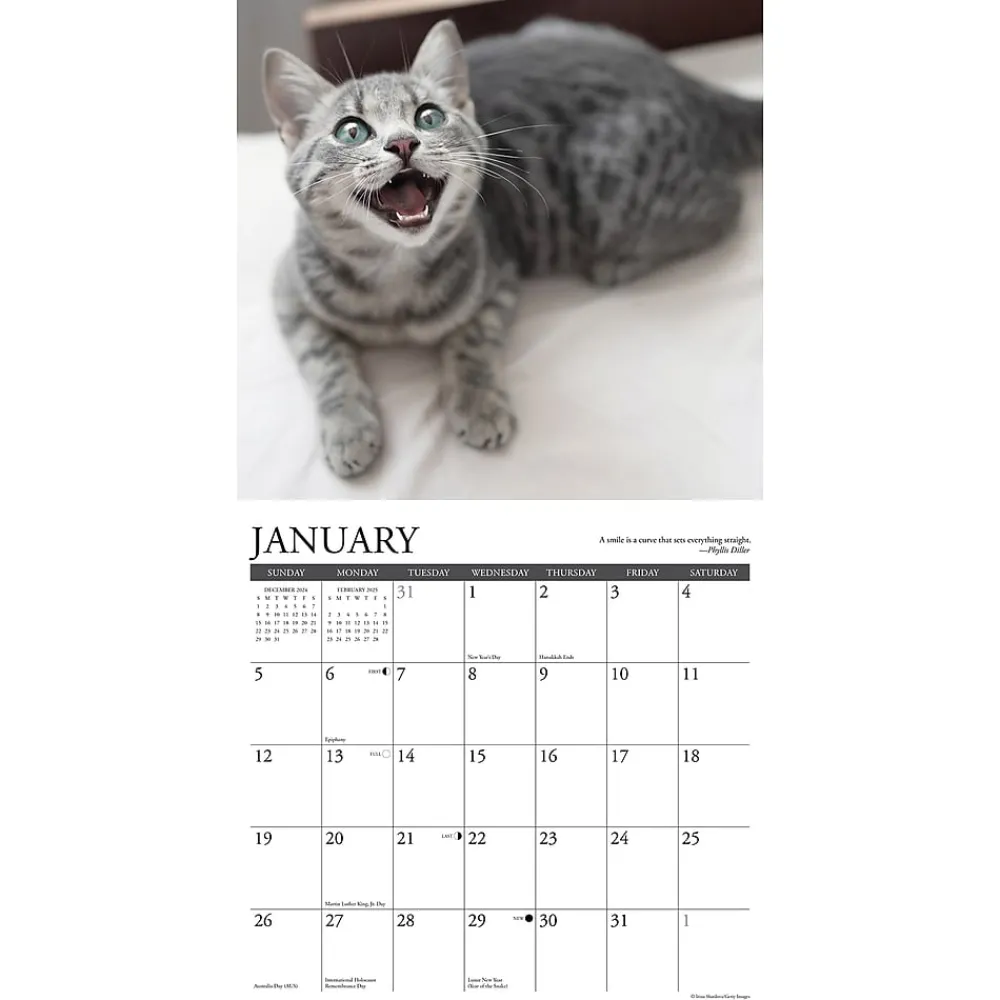 2025 Calendars|Willow Creek 2025 Happy Cats 12" x 12" Monthly Wall Calendar (43288)