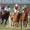 2025 Calendars|Willow Creek 2025 Horse Racing 12" x 12" Monthly Wall Calendar (43363)