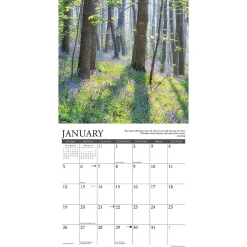 2025 Calendars|Willow Creek 2025 Inspirations 12