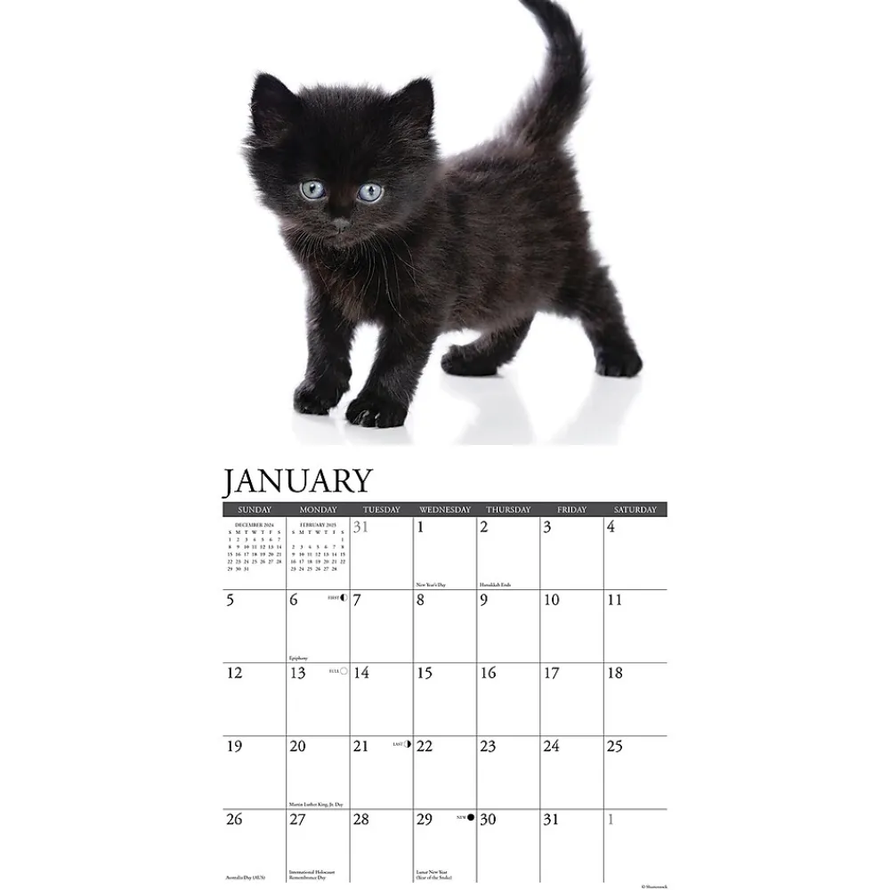 2025 Calendars|Willow Creek 2025 Just Black Kittens 12" x 12" Monthly Wall Calendar, Multicolor (41840)