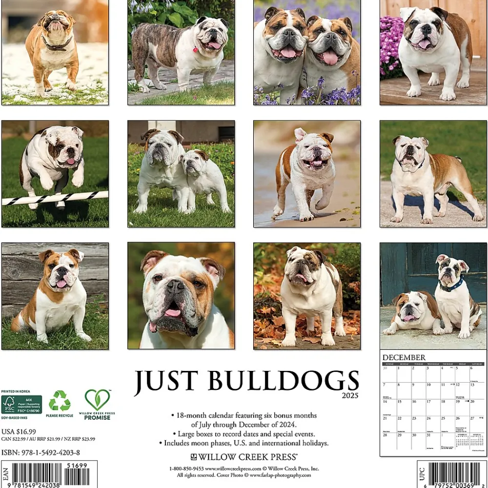2025 Calendars|Willow Creek 2025 Just Bulldogs 12" x 12" Monthly Wall Calendar (42038)