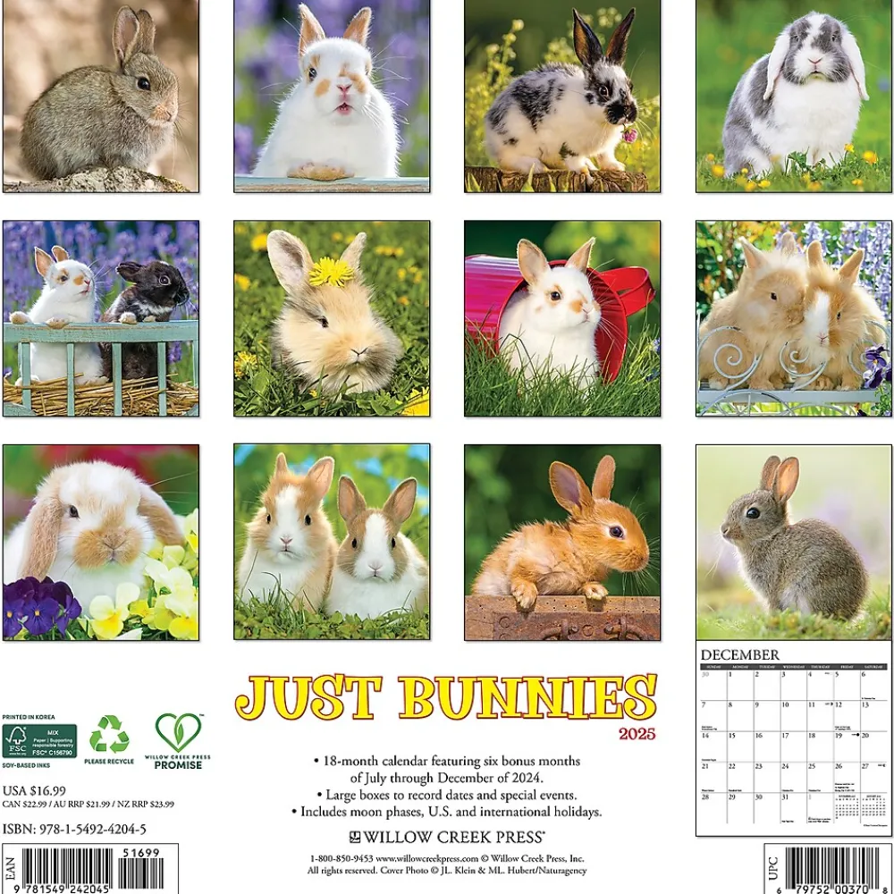 2025 Calendars|Willow Creek 2025 Just Bunnies 12" x 12" Monthly Wall Calendar (42045)