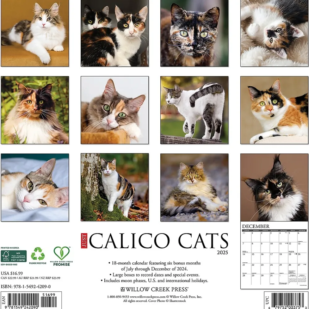 2025 Calendars|Willow Creek 2025 Just Calico Cats 12" x 12" Monthly Wall Calendar (42090)