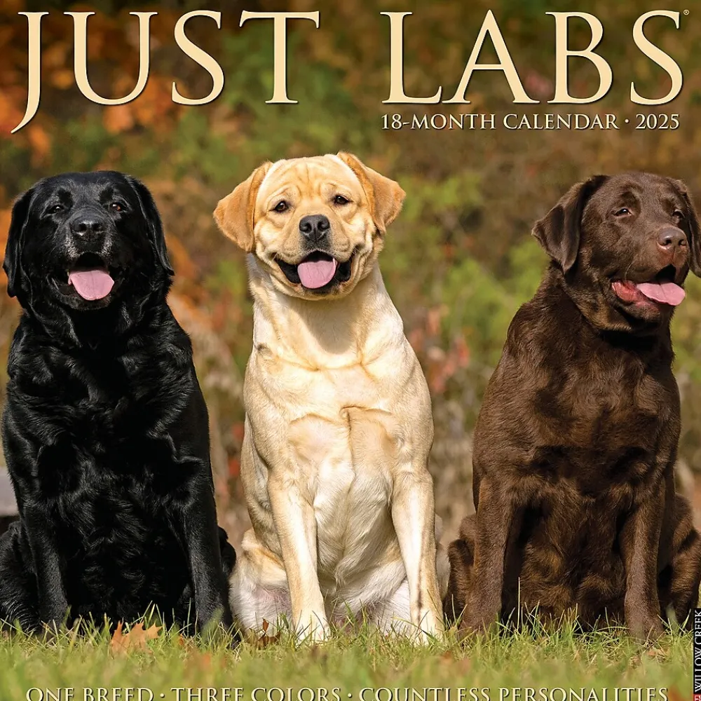 2025 Calendars|Willow Creek 2025 Just Labs 12" x 12" Monthly Wall Calendar (43677)