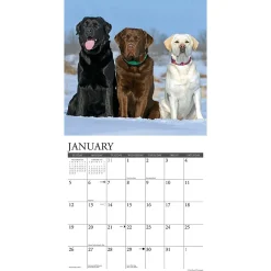 2025 Calendars|Willow Creek 2025 Just Labs 12