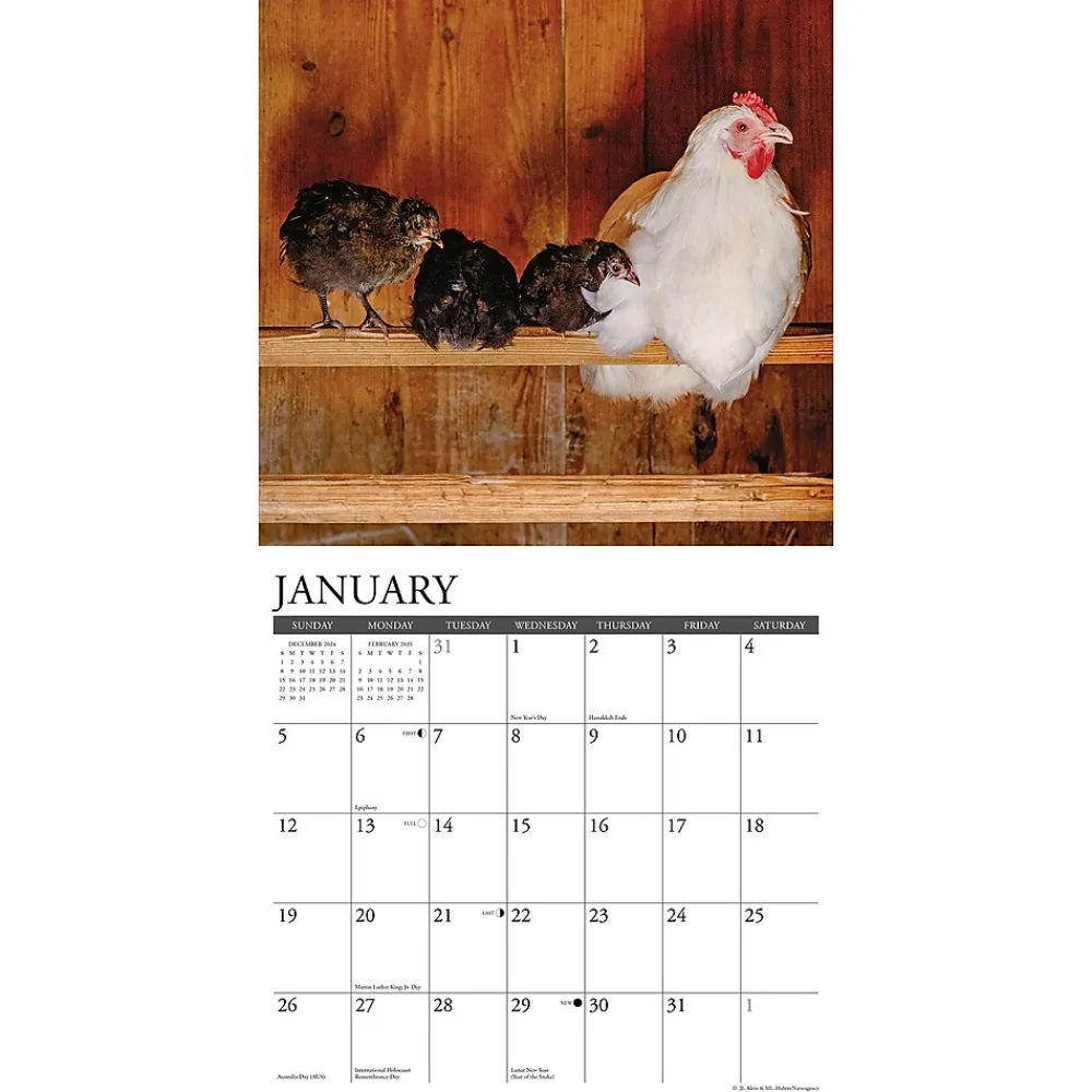 2025 Calendars|Willow Creek 2025 Just Us Chickens 12" x 12" Monthly Wall Calendar (43592)