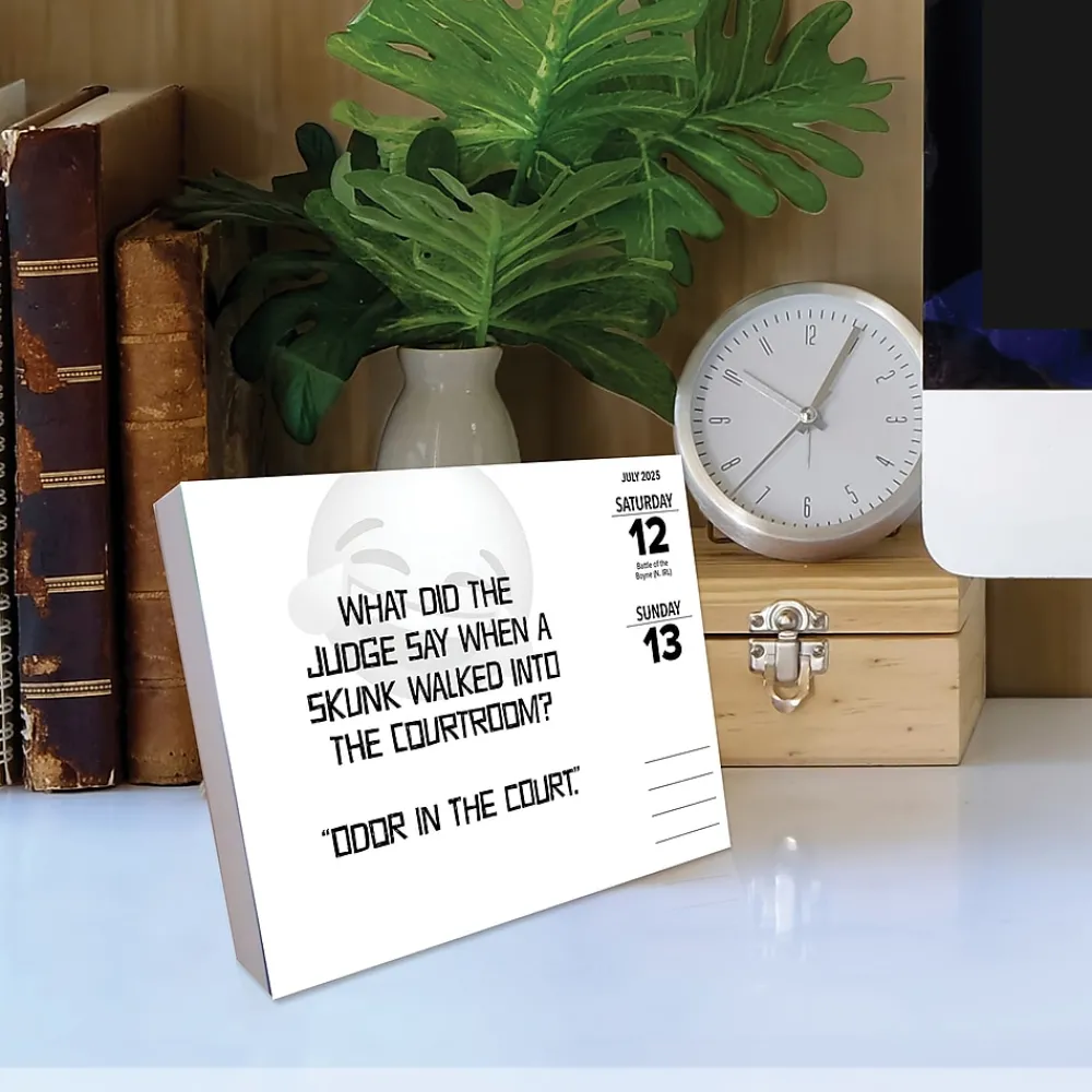 2025 Calendars|Willow Creek 2025 LOL Jokes 6" x 5.5" Day-to-Day Calendar (40935)