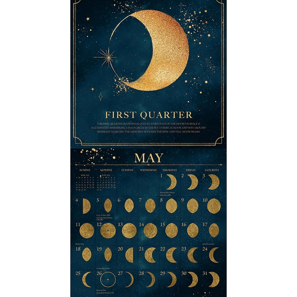2025 Calendars|Willow Creek 2025 Moon Magic 12" x 12" Monthly Wall Calendar (46630)