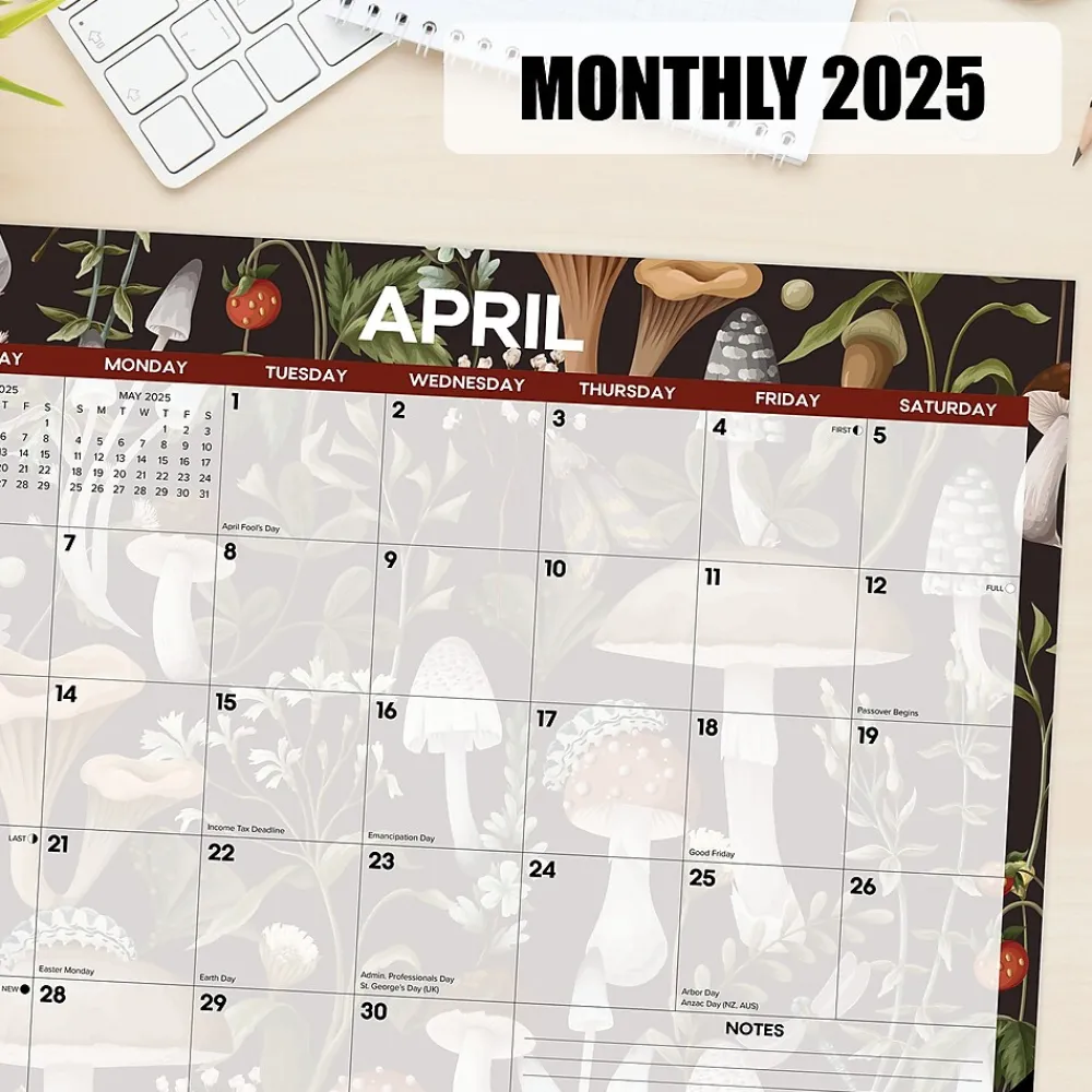 2025 Calendars|Willow Creek 2025 Mushrooms 22" x 17" Monthly Desk or Wall Calendar (47927)
