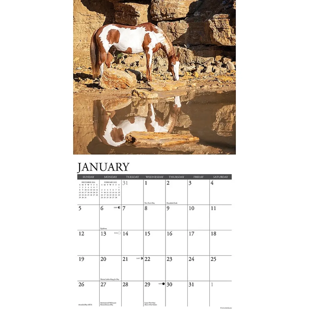 2025 Calendars|Willow Creek 2025 Paint Horses 12" x 12" Monthly Wall Calendar (44353)
