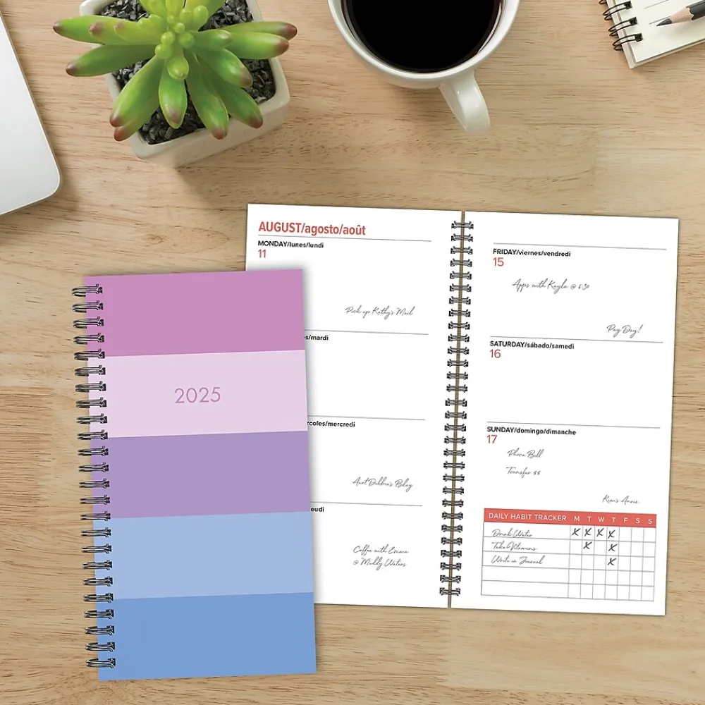 2025 Planners|Willow Creek 2025 Soft Stripe 3.5" x 6.5" Weekly Planner (48559)