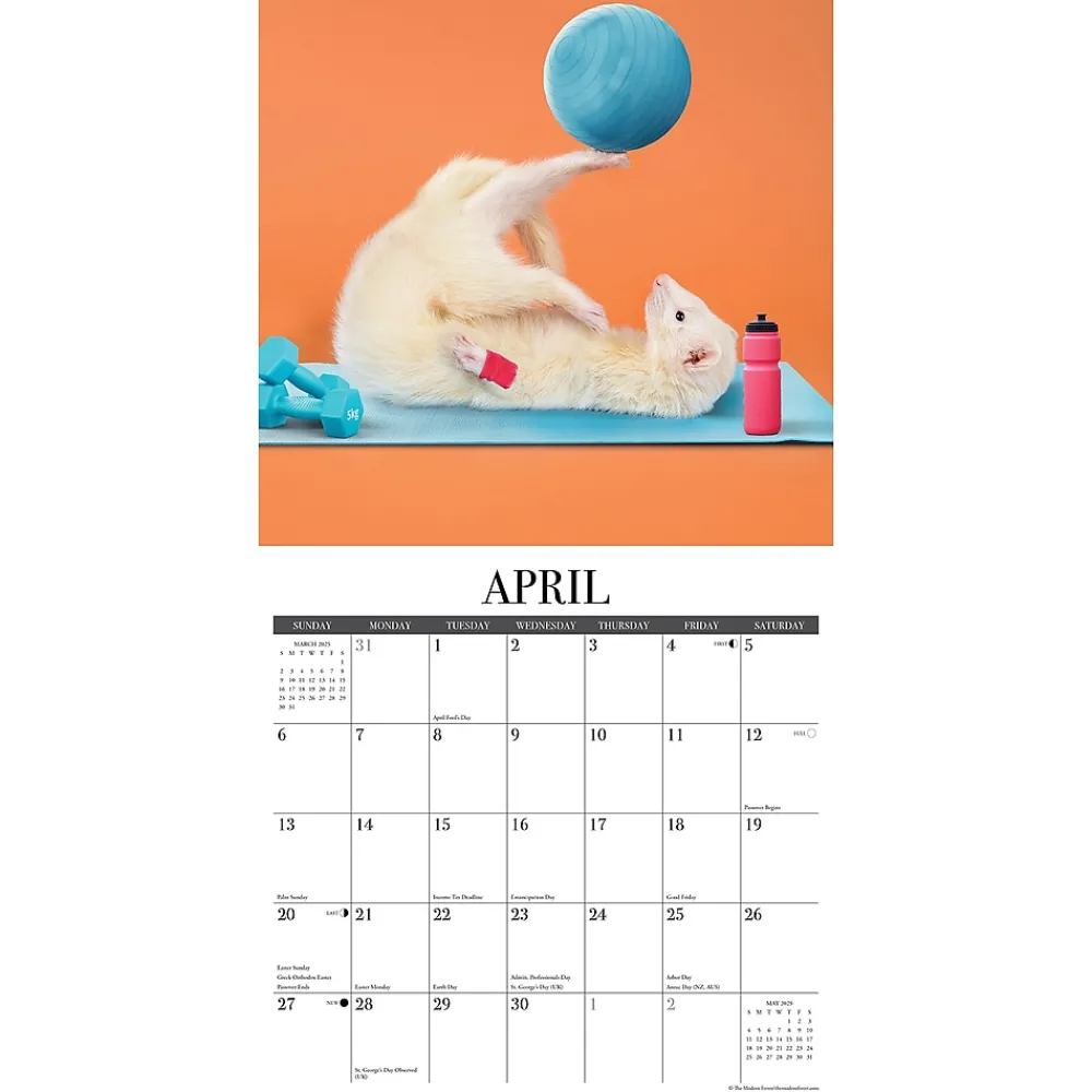 2025 Calendars|Willow Creek 2025 The Modern Ferret 12" x 12" Monthly Wall Calendar (43967)