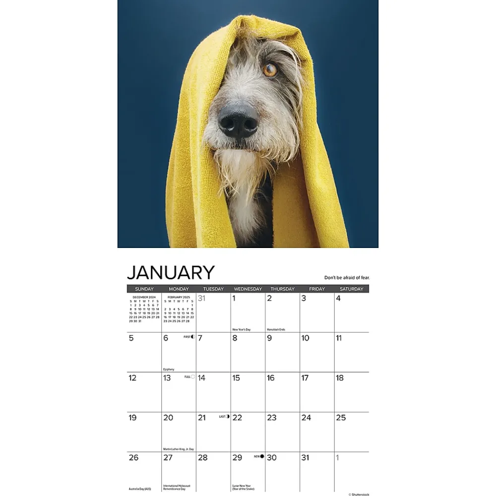 2025 Calendars|Willow Creek 2025 What Dogs Teach Us 7" x 7" Monthly Wall Calendar (46029)
