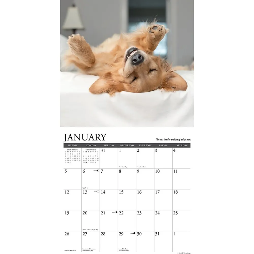 2025 Calendars|Willow Creek 2025 What Goldens Teach Us 12" x 12" Monthly Wall Calendar (45374)