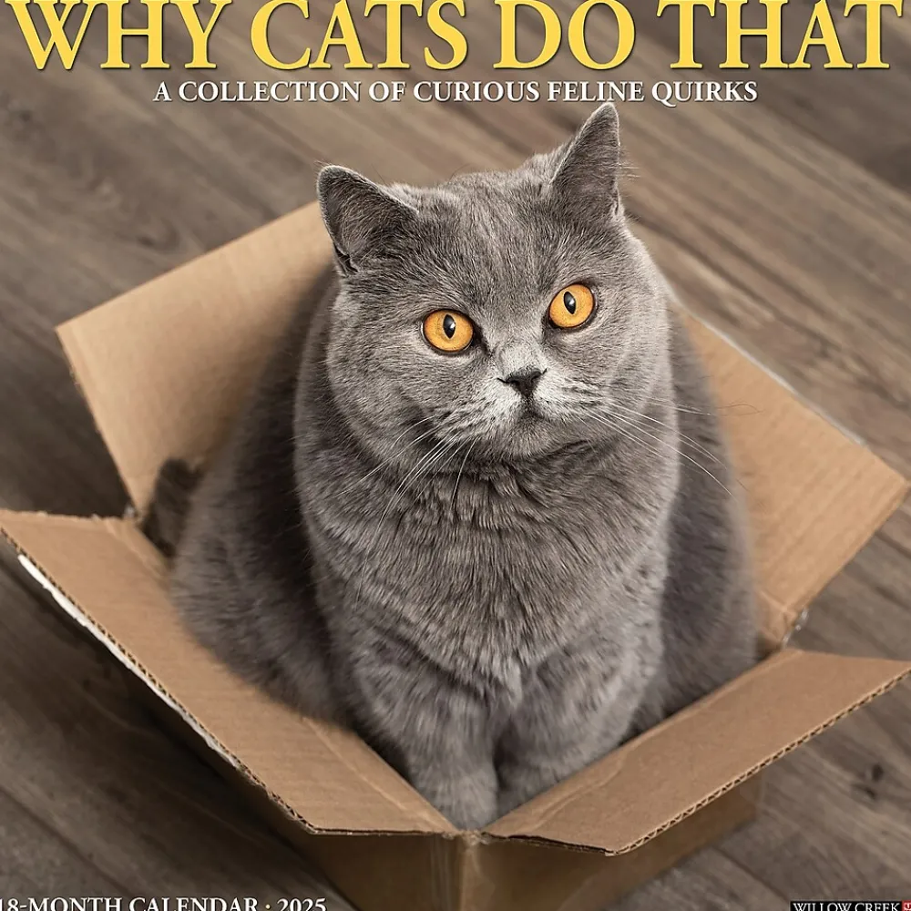 2025 Calendars|Willow Creek 2025 Why Cats Do That 12" x 12" Monthly Wall Calendar (45435)
