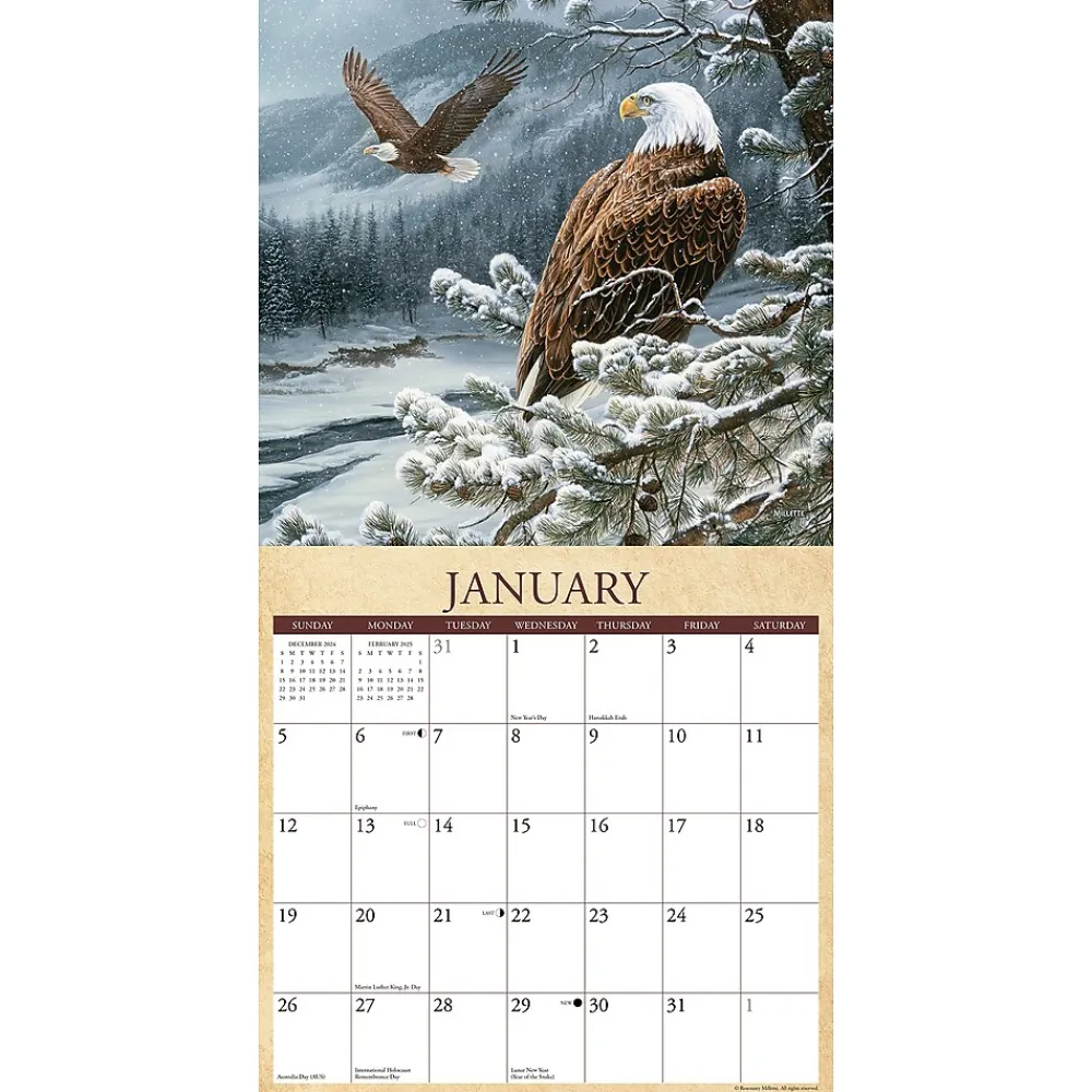 2025 Calendars|Willow Creek 2025 Wild America 12" x 12" Monthly Wall Calendar (45459)