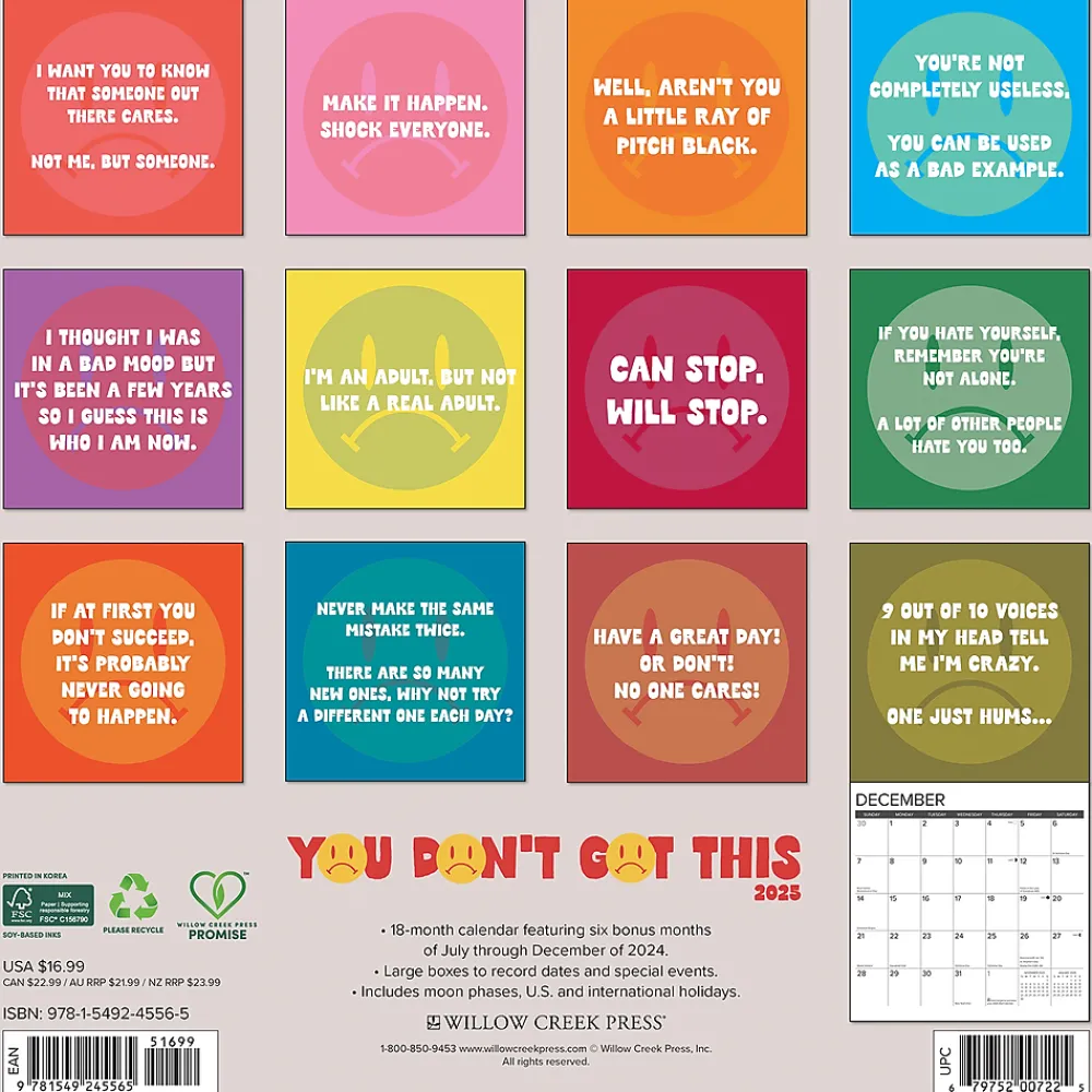 2025 Calendars|Willow Creek 2025 You Don't Got This 12" x 12" Monthly Wall Calendar (45565)