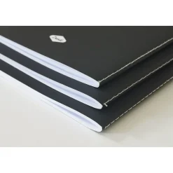 Journals|Denik : AMEYA'S REALM SKINNY LAYFLAT NOTEBOOK 3-PACK