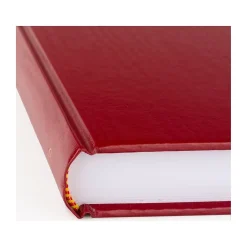 Journals|AT-A-GLANCE Standard Hardcover 2025 Daily Diary, 7.75