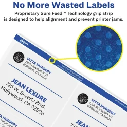 Labels|Avery Easy Peel Laser Shipping Labels, 2