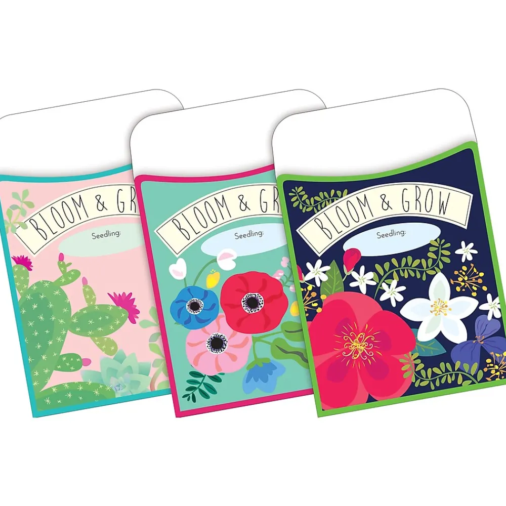 File Folders|Barker Creek Folder & Pocket Set, 1/3-Cut Tab, Letter Size, Petals & Prickles, 42/Set (4418)