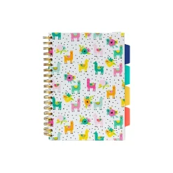Notebooks|Carpe Diem Color Wash 5-Subject Subject Notebooks, 7.09