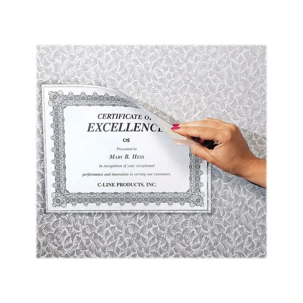 Sheet Protectors|C-Line Cubicle Keepers Polypropylene File Pockets, Clear, 25/Box (CLI38991)