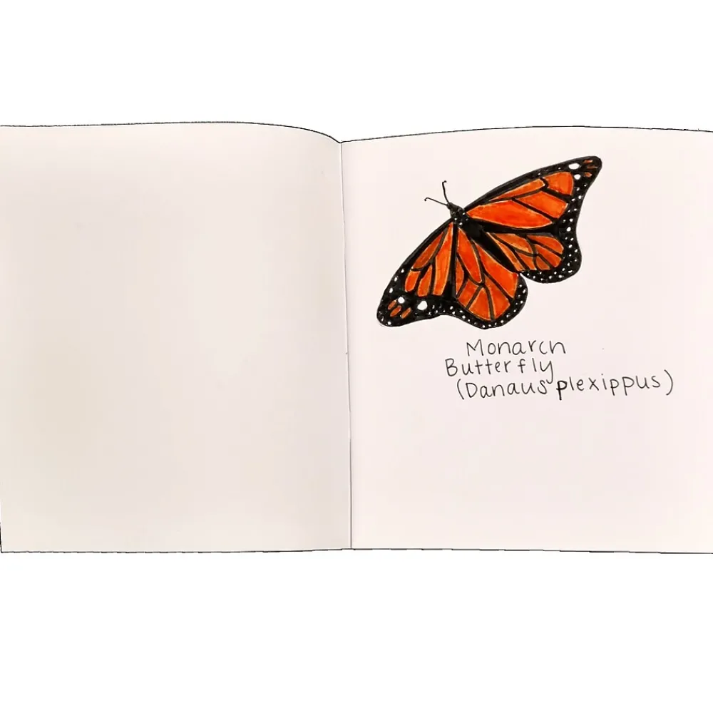 Journals|Flipside Journal, 7" x 8.5", White, Blank, 28 Pages, 12/Set (FLPBK512)