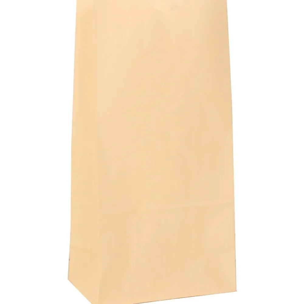 Lunch Totes & Water Bottles|JAM Paper Kraft Lunch Bags, Small, 4.25" x 8" x 2.25", Ivory Kraft, Bulk 500 Bags/Box (690KRIVB)