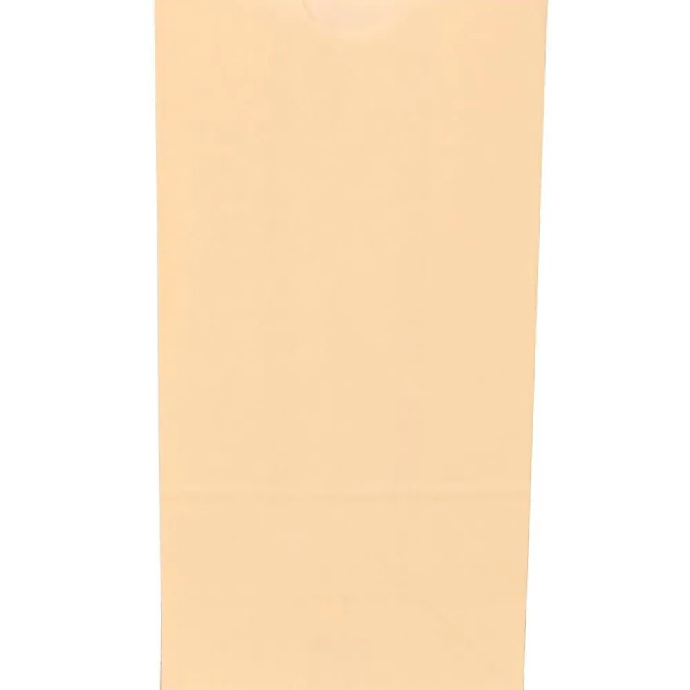 Lunch Totes & Water Bottles|JAM Paper Kraft Lunch Bags, Small, 4.25" x 8" x 2.25", Ivory Kraft, Bulk 500 Bags/Box (690KRIVB)