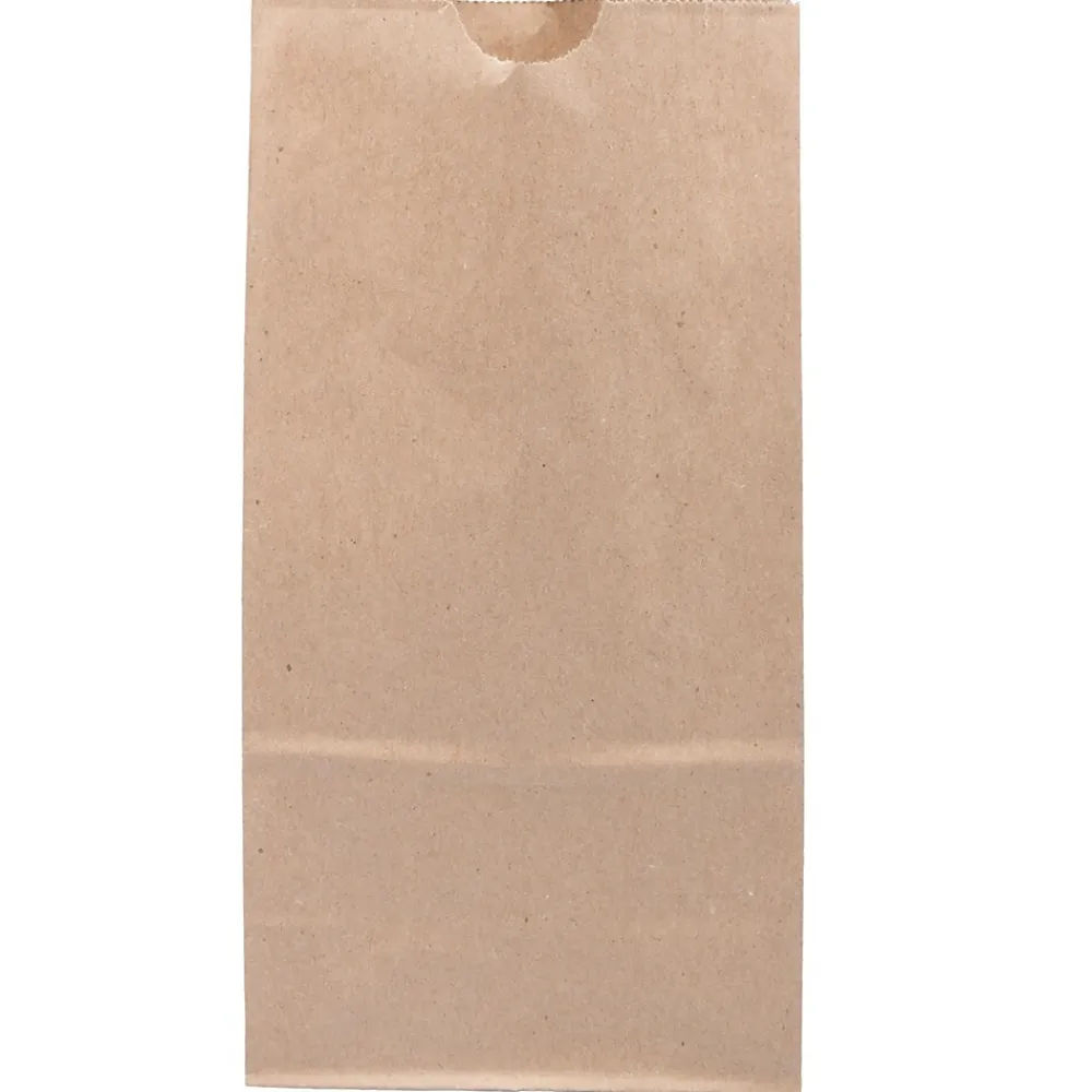 Lunch Totes & Water Bottles|JAM Paper Kraft Lunch Bags, Medium, 9.75" x 5" x 3", Brown Kraft Recycled, 25/Pack (691KRBR)
