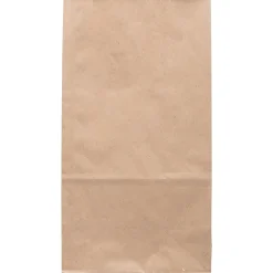 Lunch Totes & Water Bottles|JAM Paper Kraft Lunch Bags, 11" x 6" x 3.5", Brown, 25/Pack (692KRBR)