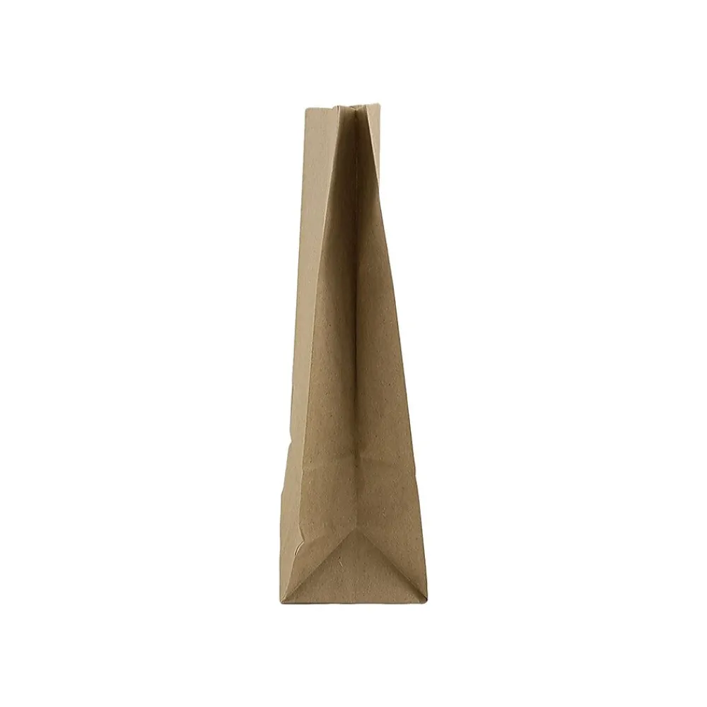 Lunch Totes & Water Bottles|JAM Paper Kraft Lunch Bags, 8" x 4.25" x 2.25", Brown, 500/Pack (690KRBRB)