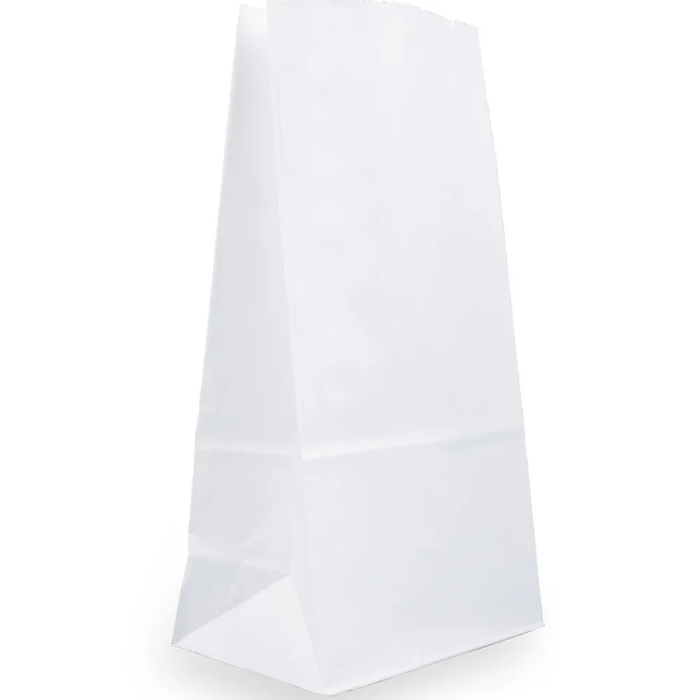 Lunch Totes & Water Bottles|JAM Paper Kraft Lunch Bags, Large, 6" x 11" x 3.5", White, Bulk 500 Bags/Box (692KRWHB)