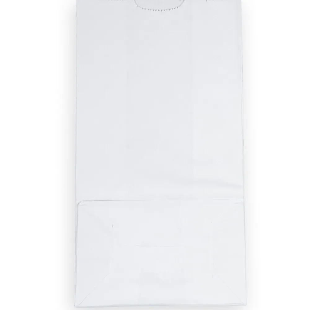 Lunch Totes & Water Bottles|JAM Paper Kraft Lunch Bags, Large, 6" x 11" x 3.5", White, Bulk 500 Bags/Box (692KRWHB)