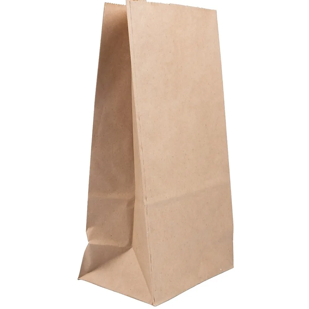 Lunch Totes & Water Bottles|JAM Paper Kraft Lunch Bag, Large, 6" x11" x 3.5", Brown, 500/Pack (692KRBRB)
