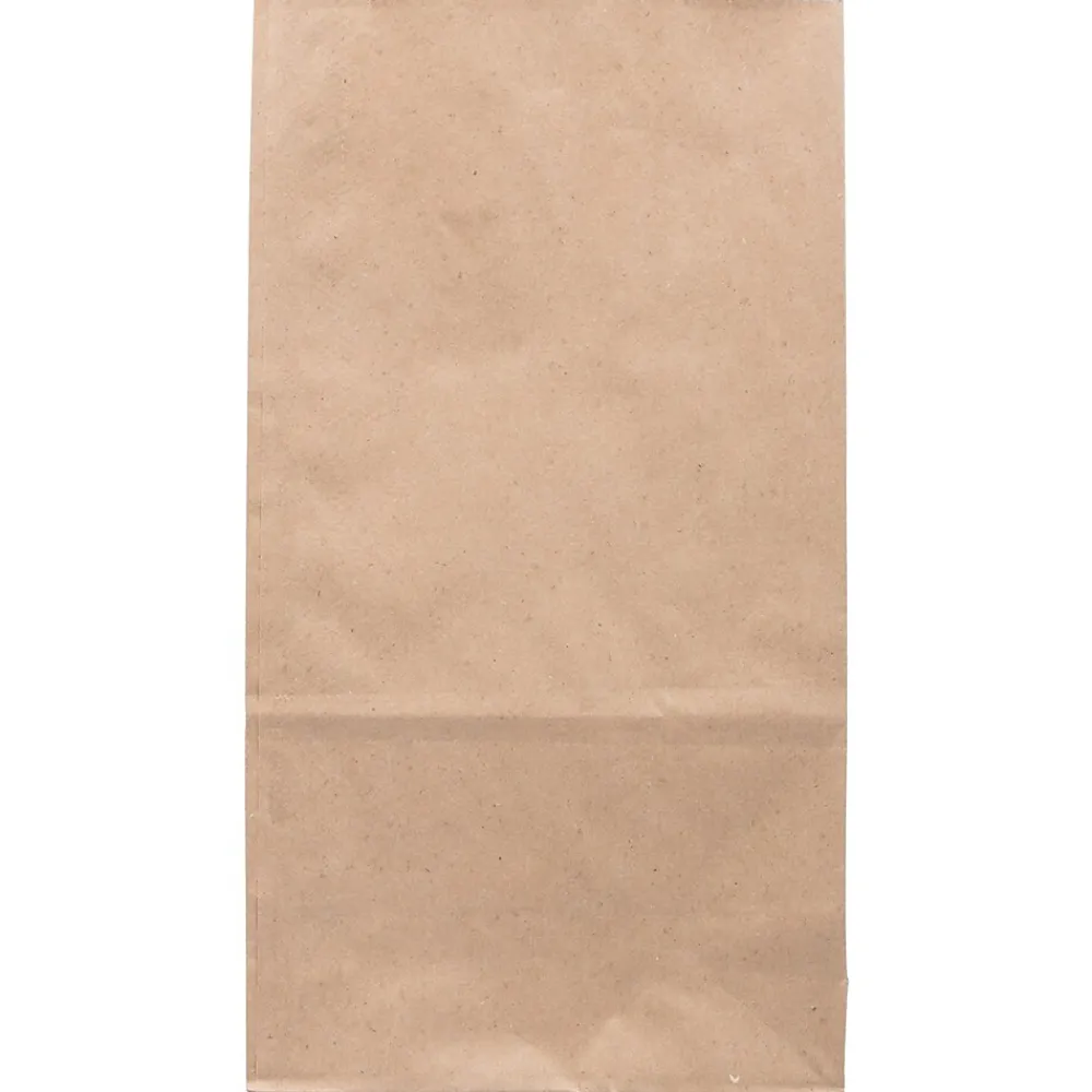Lunch Totes & Water Bottles|JAM Paper Kraft Lunch Bag, Large, 6" x11" x 3.5", Brown, 500/Pack (692KRBRB)