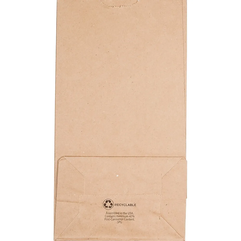 Lunch Totes & Water Bottles|JAM Paper Kraft Lunch Bag, Large, 6" x11" x 3.5", Brown, 500/Pack (692KRBRB)