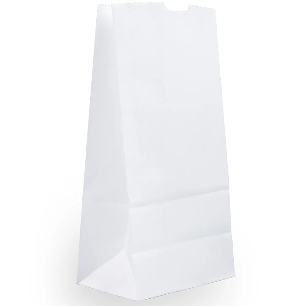 Lunch Totes & Water Bottles|JAM Paper Kraft Lunch Bags, 9.75" x 5" x 3", White, 500/Box (691KRWHB)