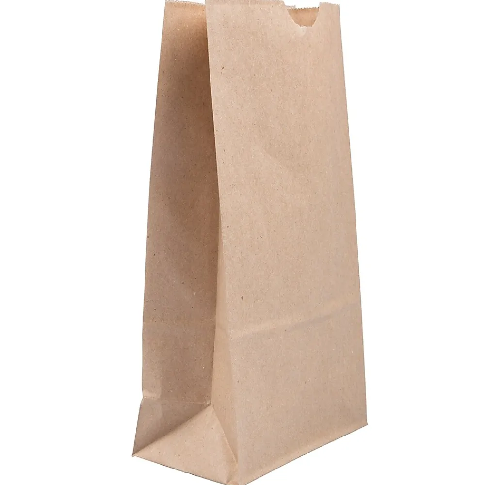 Lunch Totes & Water Bottles|JAM Paper Kraft Lunch Bags, Medium, 5" x 9.75" x 3", Brown Kraft Recycled, Bulk 500 Bags/Box (691KRBRB)
