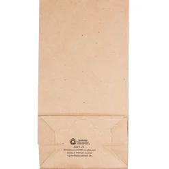 Lunch Totes & Water Bottles|JAM Paper Kraft Lunch Bags, Medium, 5