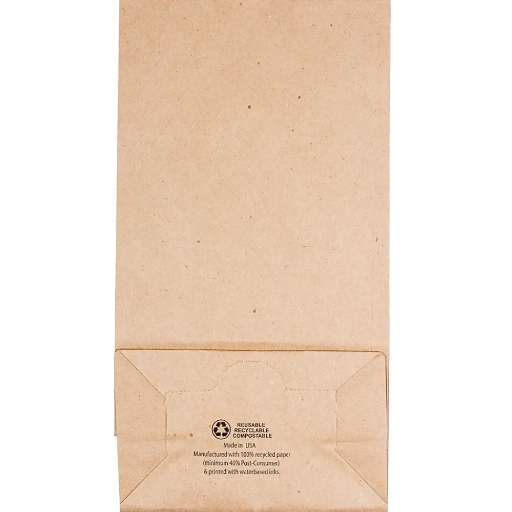 Lunch Totes & Water Bottles|JAM Paper Kraft Lunch Bags, Medium, 5" x 9.75" x 3", Brown Kraft Recycled, Bulk 500 Bags/Box (691KRBRB)