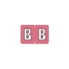 Labels|Medical Arts Press ® Barkley & Sycom® Compatible Alpha Sheet Style Labels, B