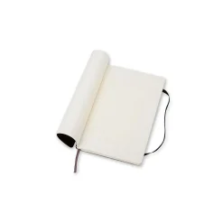 Notebooks|Moleskine Large Subject Notebooks, 5